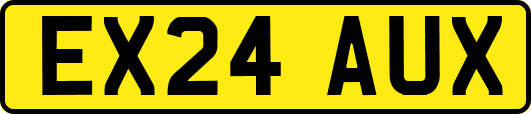 EX24AUX