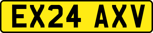 EX24AXV