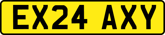 EX24AXY
