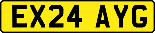 EX24AYG