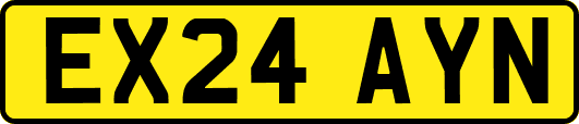 EX24AYN