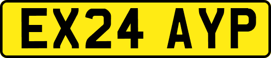 EX24AYP