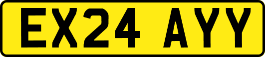 EX24AYY