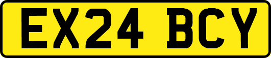 EX24BCY