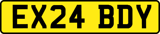 EX24BDY