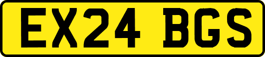 EX24BGS