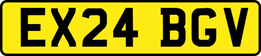 EX24BGV