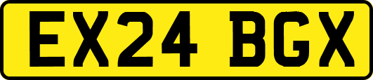 EX24BGX