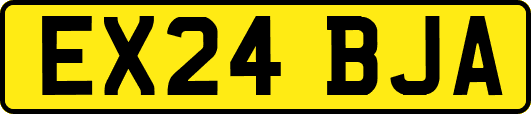 EX24BJA