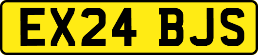 EX24BJS