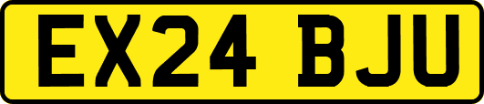 EX24BJU
