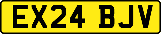 EX24BJV