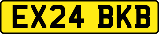 EX24BKB