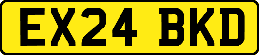 EX24BKD