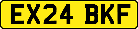 EX24BKF