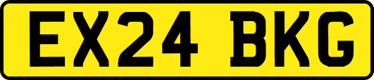 EX24BKG