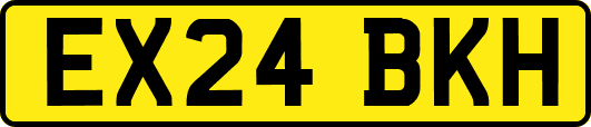 EX24BKH