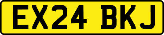 EX24BKJ