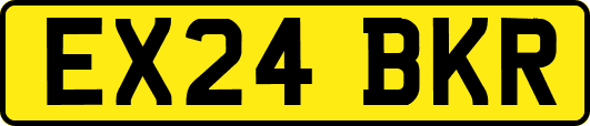 EX24BKR