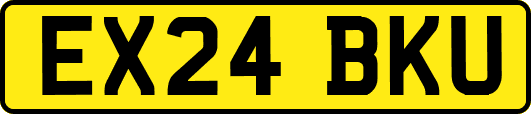 EX24BKU