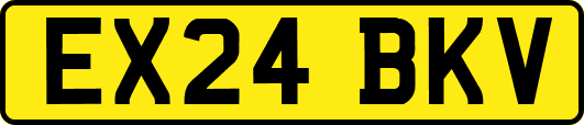 EX24BKV