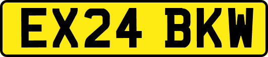 EX24BKW