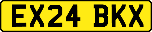 EX24BKX