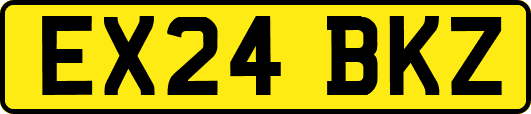 EX24BKZ