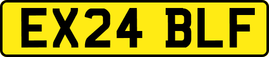 EX24BLF