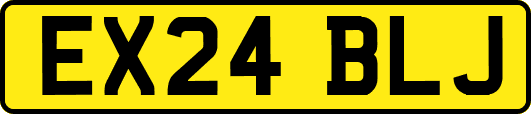 EX24BLJ
