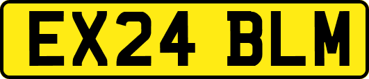 EX24BLM