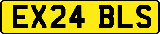 EX24BLS