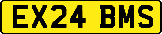 EX24BMS