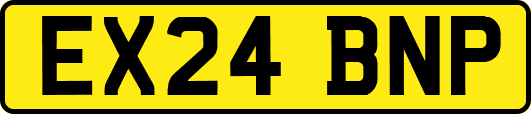 EX24BNP