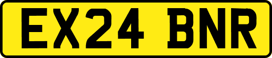EX24BNR