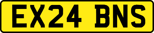 EX24BNS