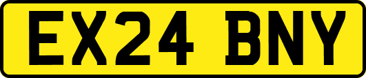 EX24BNY