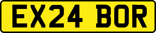 EX24BOR