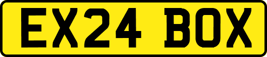 EX24BOX