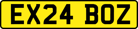 EX24BOZ