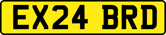 EX24BRD