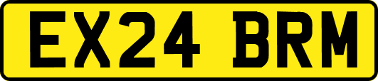 EX24BRM