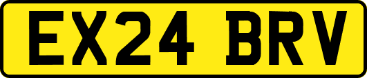 EX24BRV