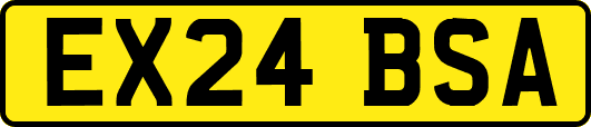 EX24BSA