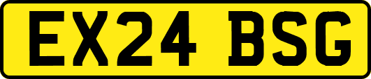 EX24BSG
