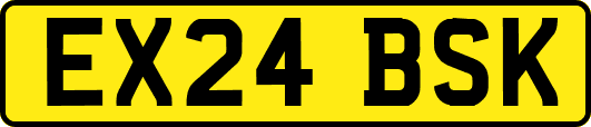 EX24BSK