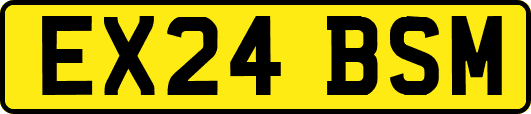 EX24BSM
