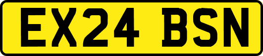 EX24BSN