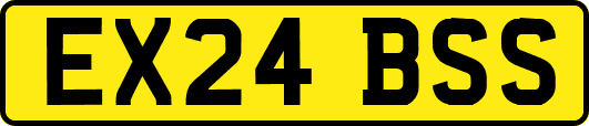 EX24BSS