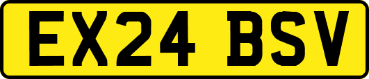 EX24BSV